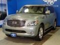 Mountain Sage - QX 56 4WD Photo No. 3