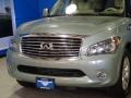 Mountain Sage - QX 56 4WD Photo No. 4
