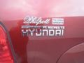 2005 Canyon Red Hyundai Santa Fe LX 3.5 4WD  photo #21