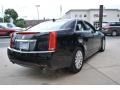 Black Raven - CTS 3.0 Sedan Photo No. 6