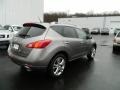 Platinum Graphite Metallic - Murano LE AWD Photo No. 5