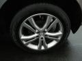 Platinum Graphite Metallic - Murano LE AWD Photo No. 11