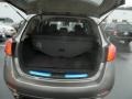 Platinum Graphite Metallic - Murano LE AWD Photo No. 16