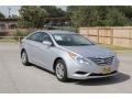 Radiant Silver - Sonata GLS Photo No. 8
