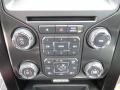 FX Sport Appearance Black/Red Controls Photo for 2013 Ford F150 #71899030