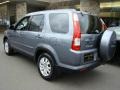 Pewter Pearl - CR-V SE 4WD Photo No. 4