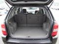 2007 Obsidian Black Metallic Hyundai Tucson GLS  photo #20