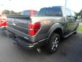 2012 Sterling Gray Metallic Ford F150 FX4 SuperCrew 4x4  photo #2