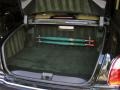Le Mans Series Verdant Green - Arnage Le Mans Series Photo No. 46