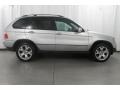 Titanium Silver Metallic - X5 4.4i Photo No. 11