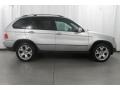 2002 Titanium Silver Metallic BMW X5 4.4i  photo #11