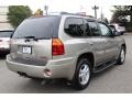 2002 Pewter Metallic GMC Envoy SLT 4x4  photo #3