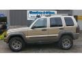 Light Khaki Metallic - Liberty Renegade 4x4 Photo No. 2