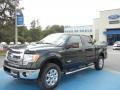 Green Gem Metallic - F150 XLT SuperCrew 4x4 Photo No. 1