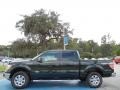 Green Gem Metallic - F150 XLT SuperCrew 4x4 Photo No. 2