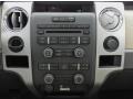 Adobe Controls Photo for 2013 Ford F150 #71919614
