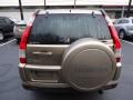 Sahara Sand Metallic - CR-V SE 4WD Photo No. 11