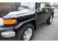 Black Diamond - FJ Cruiser 4WD Photo No. 5