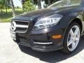Black - CLS 550 Coupe Photo No. 6