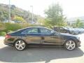 Black - CLS 550 Coupe Photo No. 3