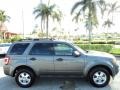 2011 Sterling Grey Metallic Ford Escape XLT  photo #5