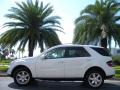 Arctic White - ML 350 4Matic Photo No. 1