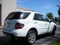 2008 Arctic White Mercedes-Benz ML 350 4Matic  photo #6