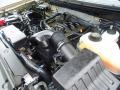 5.0 Liter Flex-Fuel DOHC 32-Valve Ti-VCT V8 Engine for 2011 Ford F150 Lariat SuperCrew 4x4 #71934798