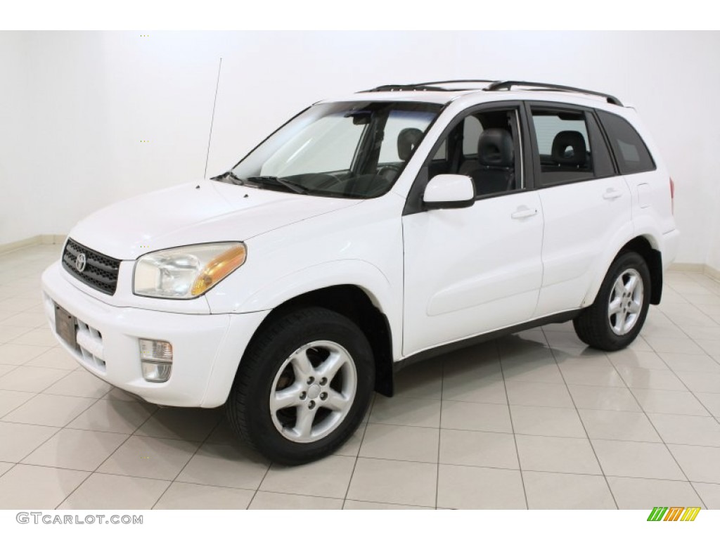 2002 RAV4 4WD - Natural White / Gray photo #3