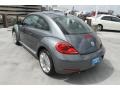 Platinum Gray Metallic - Beetle 2.5L Photo No. 6