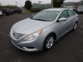 Radiant Silver - Sonata GLS Photo No. 3