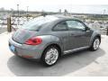 Platinum Gray Metallic - Beetle 2.5L Photo No. 8