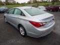 Radiant Silver - Sonata GLS Photo No. 5