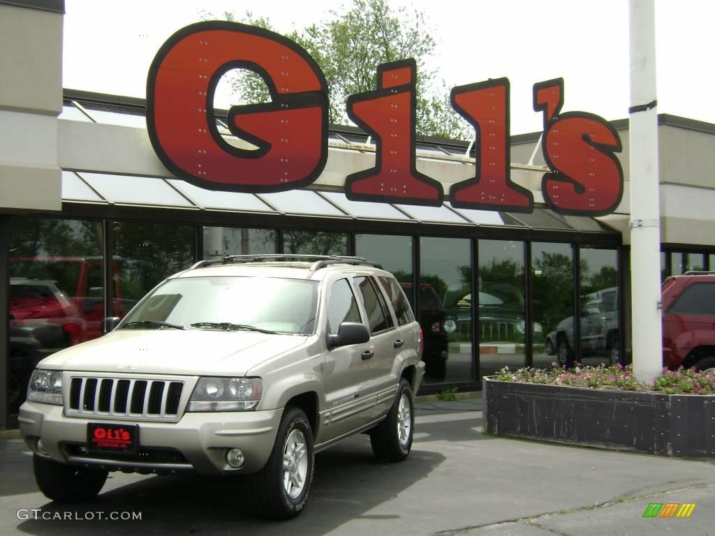 2004 Grand Cherokee Special Edition 4x4 - Light Pewter Metallic / Taupe photo #1