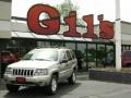 Light Pewter Metallic 2004 Jeep Grand Cherokee Special Edition 4x4