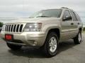 Light Pewter Metallic - Grand Cherokee Special Edition 4x4 Photo No. 2