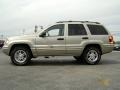 Light Pewter Metallic - Grand Cherokee Special Edition 4x4 Photo No. 3