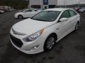 Porcelain White Pearl - Sonata Hybrid Photo No. 3
