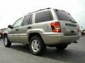 Light Pewter Metallic - Grand Cherokee Special Edition 4x4 Photo No. 4