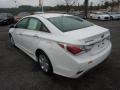 Porcelain White Pearl - Sonata Hybrid Photo No. 5