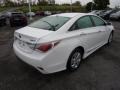 Porcelain White Pearl - Sonata Hybrid Photo No. 7