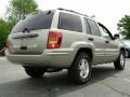 Light Pewter Metallic - Grand Cherokee Special Edition 4x4 Photo No. 6