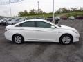 Porcelain White Pearl - Sonata Hybrid Photo No. 8