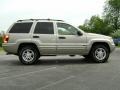 Light Pewter Metallic - Grand Cherokee Special Edition 4x4 Photo No. 7