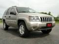 Light Pewter Metallic - Grand Cherokee Special Edition 4x4 Photo No. 8