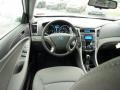 Porcelain White Pearl - Sonata Hybrid Photo No. 14