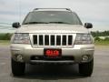 Light Pewter Metallic - Grand Cherokee Special Edition 4x4 Photo No. 9