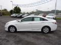 Porcelain White Pearl - Sonata Hybrid Photo No. 4