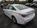 Porcelain White Pearl - Sonata Hybrid Photo No. 5