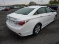 Porcelain White Pearl - Sonata Hybrid Photo No. 7